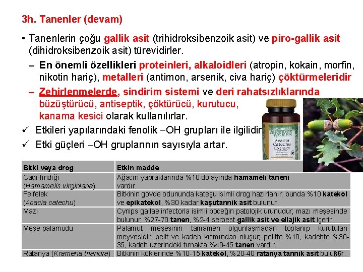 3 h. Tanenler (devam) • Tanenlerin çoğu gallik asit (trihidroksibenzoik asit) ve piro-gallik asit