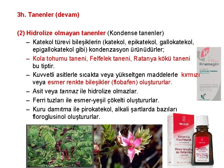 3 h. Tanenler (devam) (2) Hidrolize olmayan tanenler (Kondense tanenler) – Katekol türevi bileşiklerin