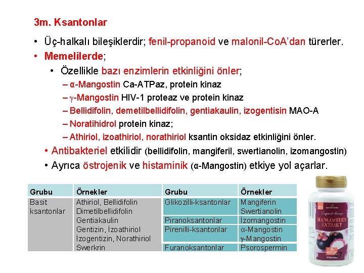 3 m. Ksantonlar • Üç-halkalı bileşiklerdir; fenil-propanoid ve malonil-Co. A’dan türerler. • Memelilerde; •