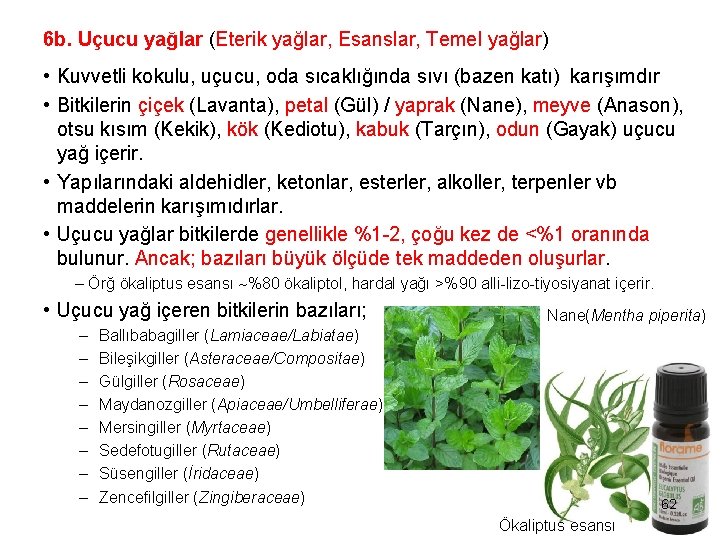 6 b. Uçucu yağlar (Eterik yağlar, Esanslar, Temel yağlar) • Kuvvetli kokulu, uçucu, oda