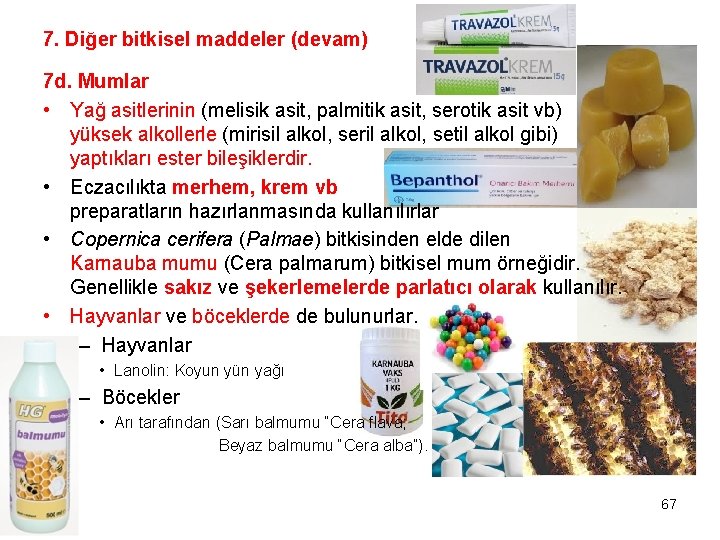 7. Diğer bitkisel maddeler (devam) 7 d. Mumlar • Yağ asitlerinin (melisik asit, palmitik