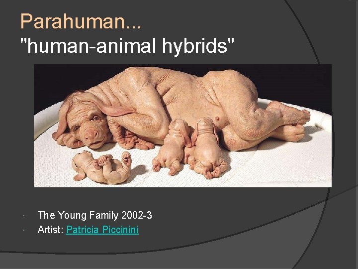 Parahuman. . . "human-animal hybrids" The Young Family 2002 -3 Artist: Patricia Piccinini 