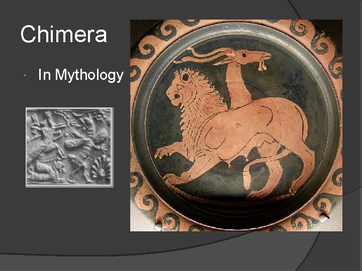 Chimera In Mythology 