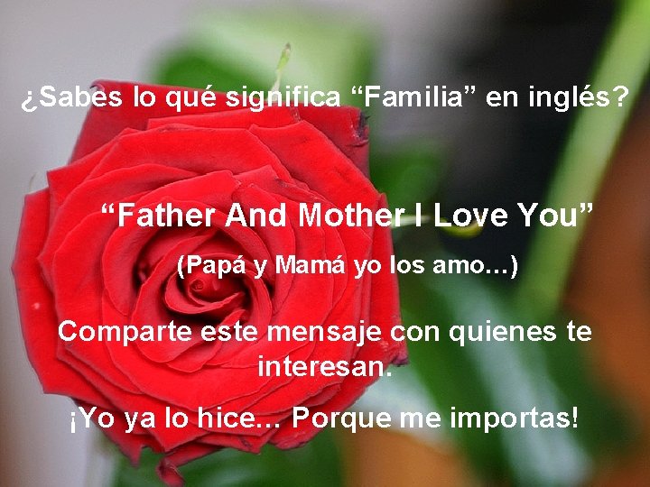 ¿Sabes lo qué significa “Familia” en inglés? “Father And Mother I Love You” (Papá