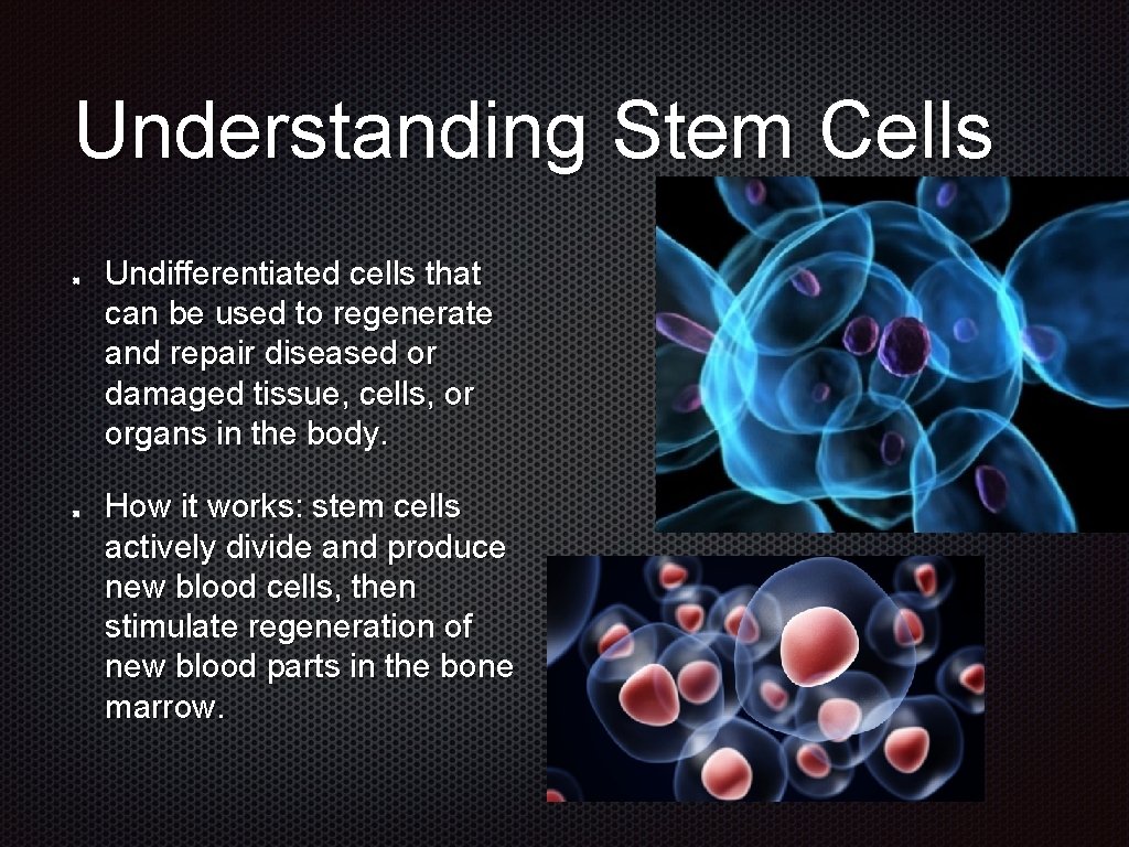 Understanding Stem Cells Undifferentiated cells that can be used to regenerate and repair diseased