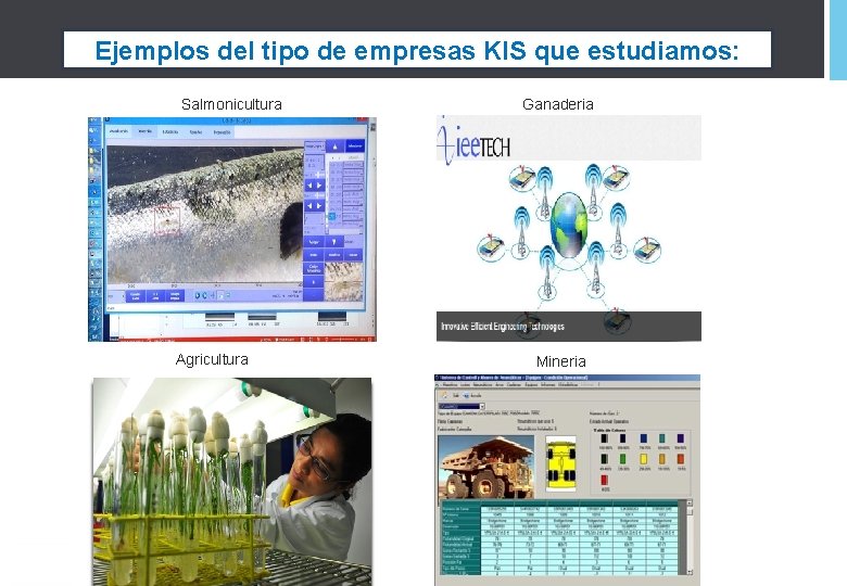 Ejemplos del tipo de empresas KIS que estudiamos: Salmonicultura Agricultura Ganaderia Mineria 