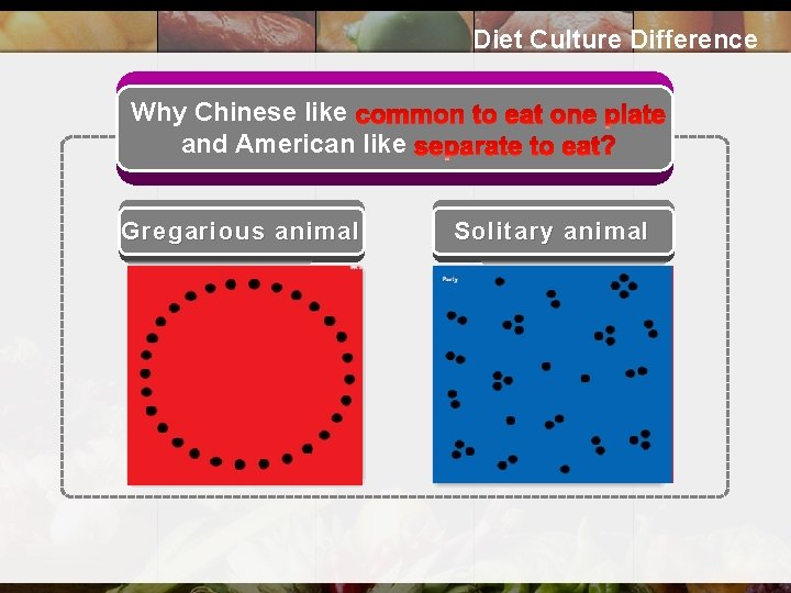 Diet Culture Difference Why Chinese like and American like Gregarious animal Solitary animal Chinese