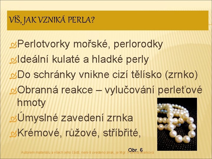 VÍŠ, JAK VZNIKÁ PERLA? Perlotvorky mořské, perlorodky Ideální kulaté a hladké perly Do schránky