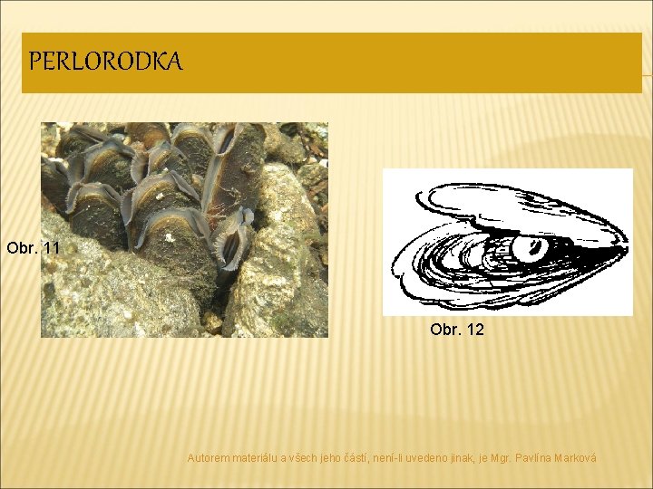 PERLORODKA Obr. 1 11 Obr. 12 Autorem materiálu a všech jeho částí, není-li uvedeno