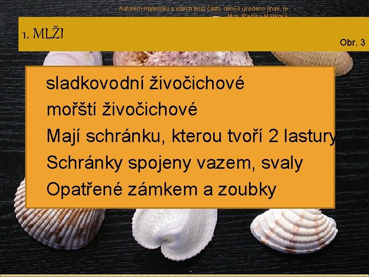 Autorem materiálu a všech jeho částí, není-li uvedeno jinak, je Mgr. Pavlína Marková 1.