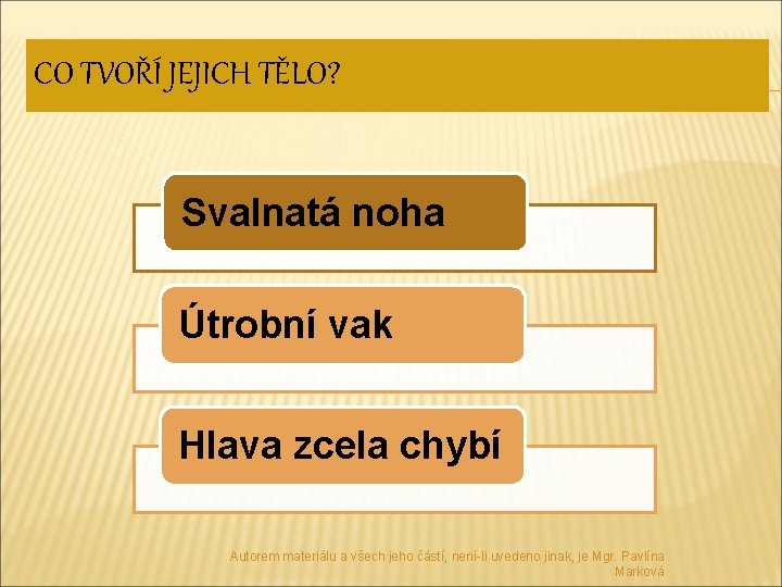 CO TVOŘÍ JEJICH TĚLO? Svalnatá noha Útrobní vak Hlava zcela chybí Autorem materiálu a