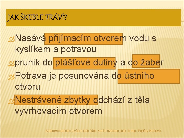 JAK ŠKEBLE TRÁVÍ? Nasává přijímacím otvorem vodu s kyslíkem a potravou průnik do plášťové