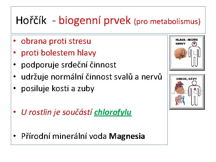 Hořčík - biogenní prvek (pro metabolismus) • • • obrana proti stresu proti bolestem