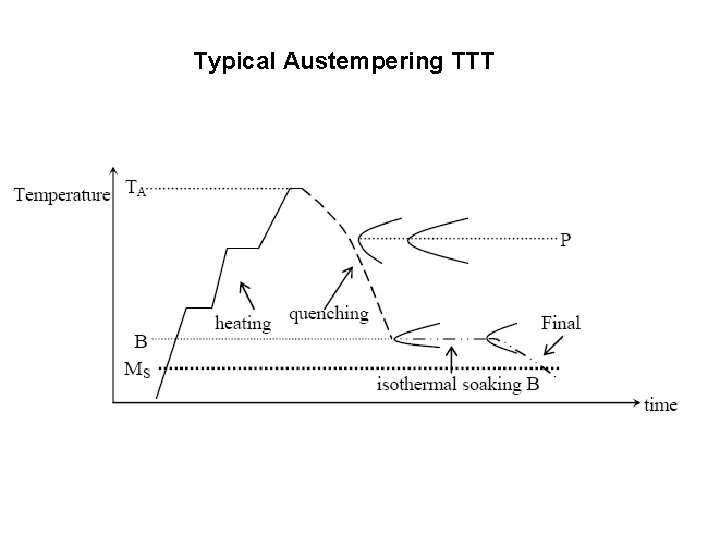 Typical Austempering TTT 