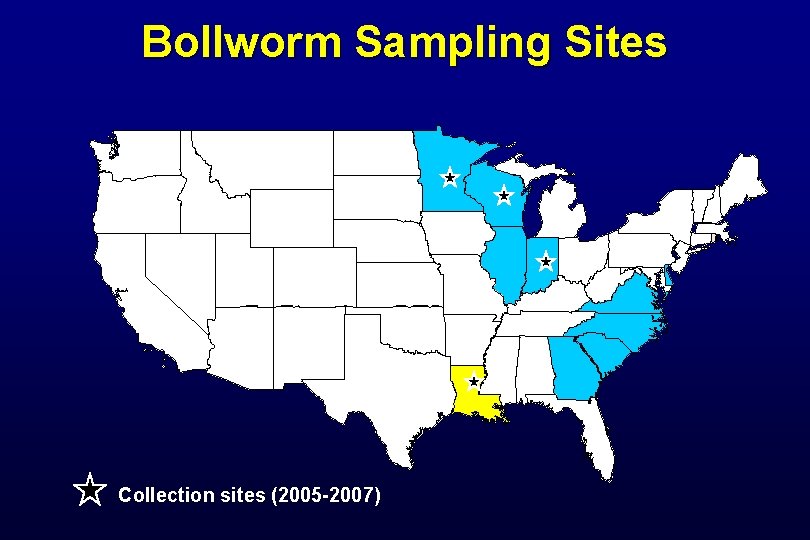 Bollworm Sampling Sites W Collection sites (2005 -2007) 