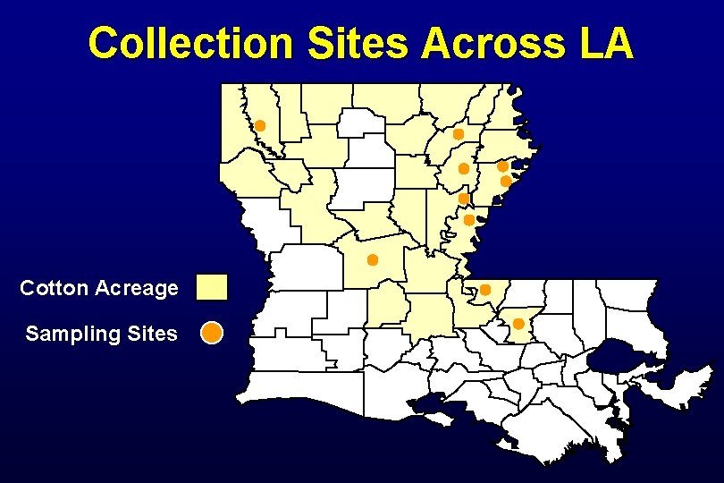 Collection Sites Across LA Cotton Acreage Sampling Sites 