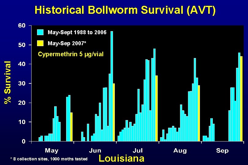Historical Bollworm Survival (AVT) May-Sept 1988 to 2006 May-Sep 2007* % Survival Cypermethrin 5