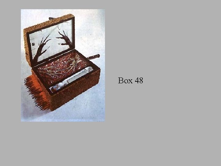 Box 48 