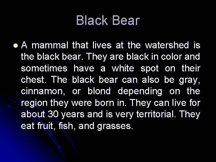 Black Bear l A mammal that lives at the watershed is the black bear.