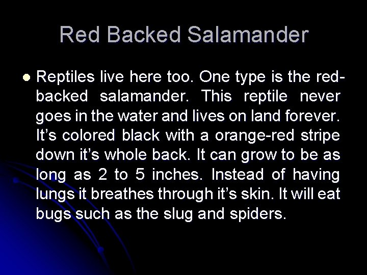 Red Backed Salamander l Reptiles live here too. One type is the redbacked salamander.