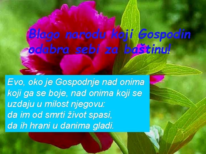 Blago narodu koji Gospodin odabra sebi za baštinu! Evo, oko je Gospodnje nad onima