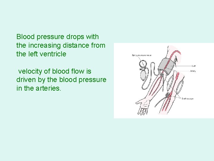 Blood pressure drops with the increasing distance from the left ventricle velocity of blood