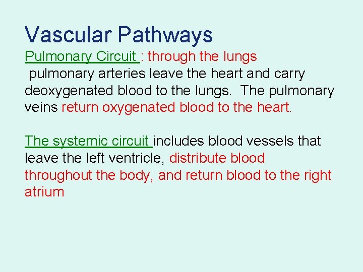 Vascular Pathways Pulmonary Circuit : through the lungs pulmonary arteries leave the heart and