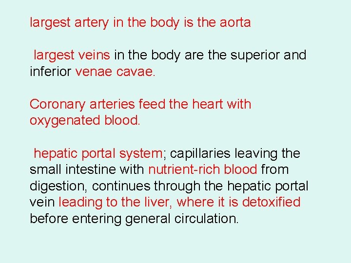 largest artery in the body is the aorta largest veins in the body are