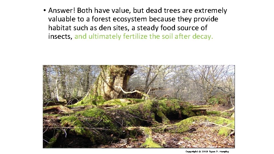  • Answer! Both have value, but dead trees are extremely valuable to a