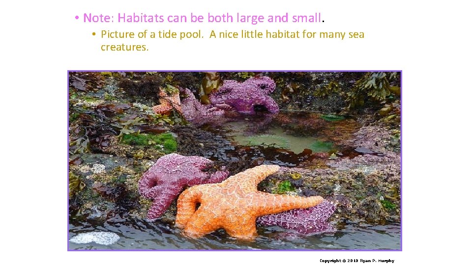  • Note: Habitats can be both large and small. • Picture of a