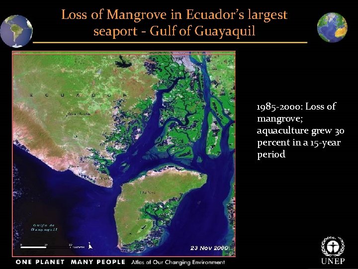 Loss of Mangrove in Ecuador’s largest seaport ‐ Gulf of Guayaquil 1985‐ 2000: Loss