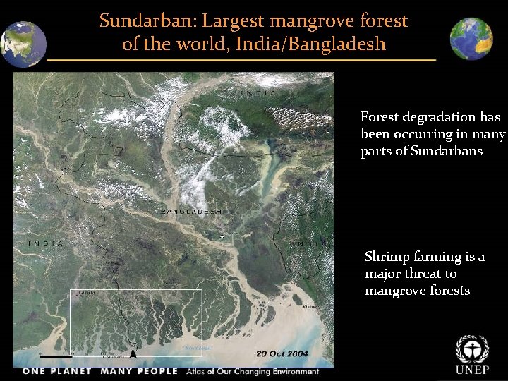 Sundarban: Largest mangrove forest of the world, India/Bangladesh Forest degradation has been occurring in