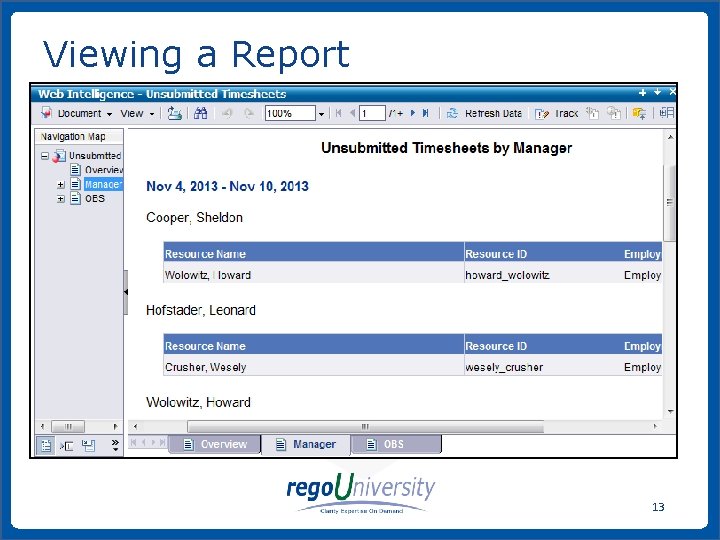 Viewing a Report 13 www. regoconsulting. com Phone: 1 -888 -813 -0444 