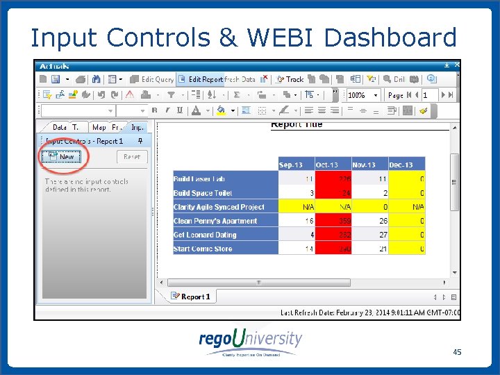 Input Controls & WEBI Dashboard 45 www. regoconsulting. com Phone: 1 -888 -813 -0444