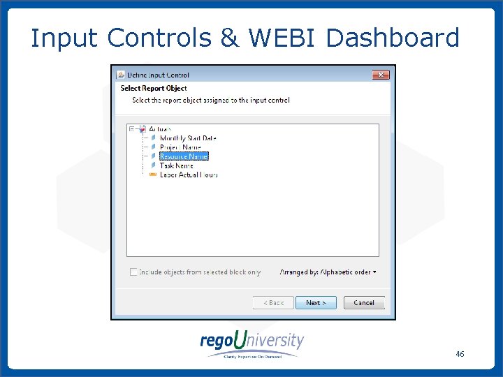 Input Controls & WEBI Dashboard 46 www. regoconsulting. com Phone: 1 -888 -813 -0444