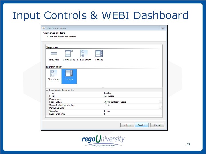 Input Controls & WEBI Dashboard 47 www. regoconsulting. com Phone: 1 -888 -813 -0444