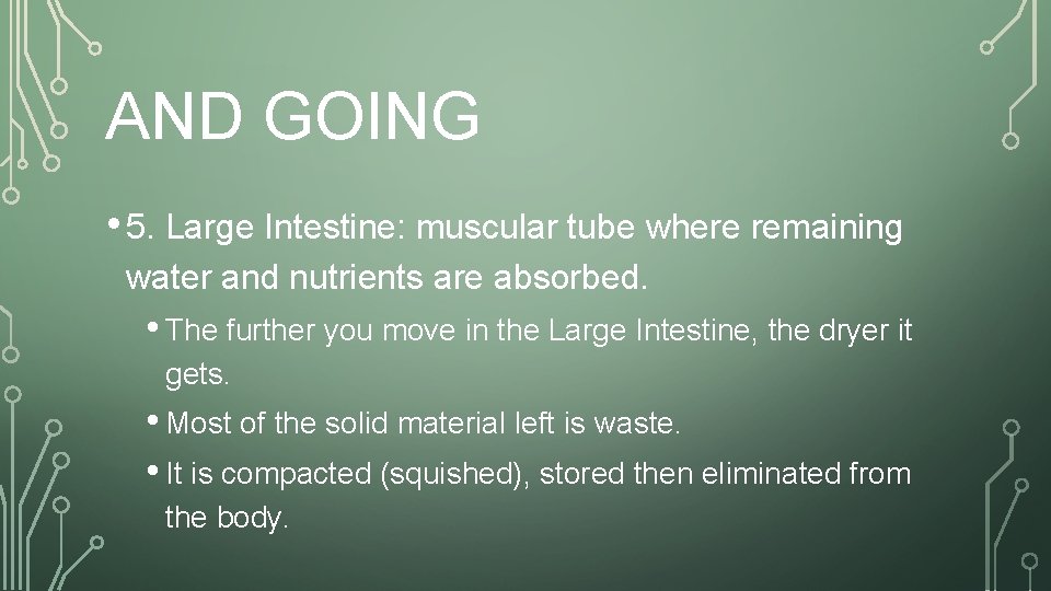 AND GOING • 5. Large Intestine: muscular tube where remaining water and nutrients are