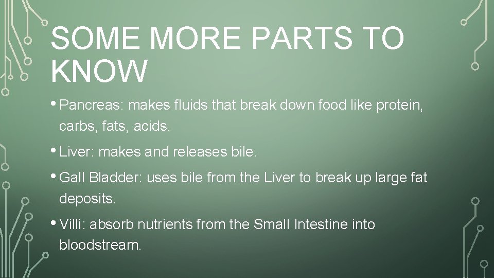 SOME MORE PARTS TO KNOW • Pancreas: makes fluids that break down food like