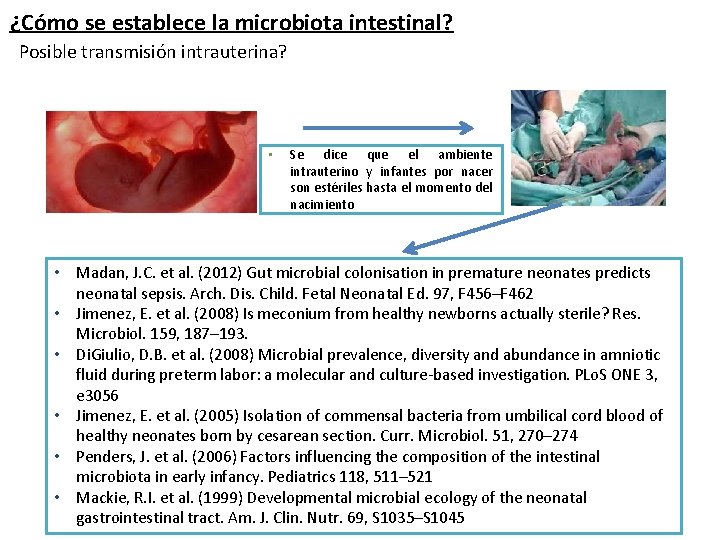 ¿Cómo se establece la microbiota intestinal? Posible transmisión intrauterina? • Se dice que el
