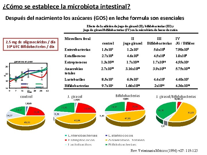 ¿Cómo se establece la microbiota intestinal? Después del nacimiento los azúcares (GOS) en leche