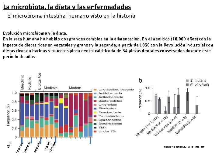 La microbiota, la dieta y las enfermedades El microbioma intestinal humano visto en la