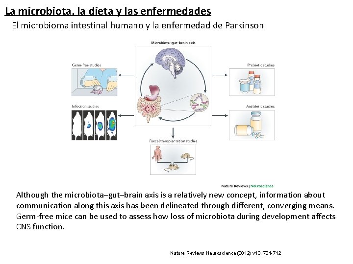 La microbiota, la dieta y las enfermedades El microbioma intestinal humano y la enfermedad