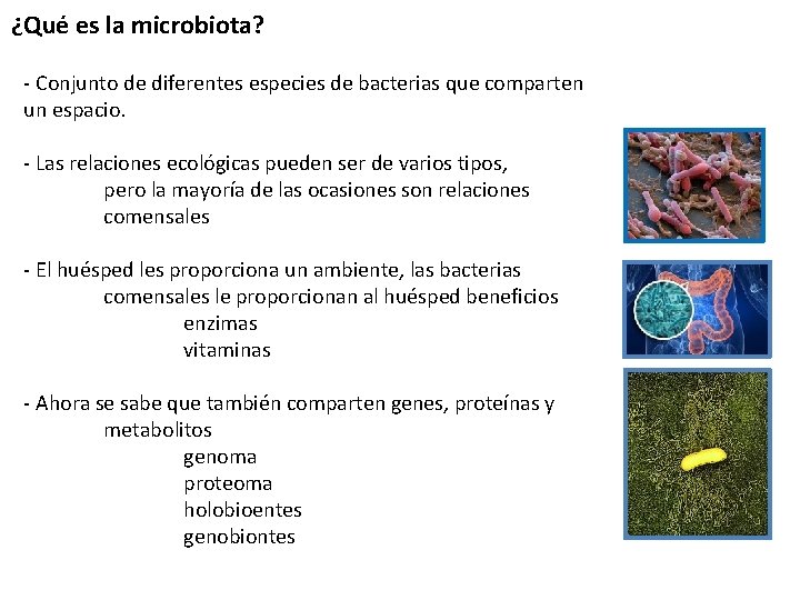 ¿Qué es la microbiota? - Conjunto de diferentes especies de bacterias que comparten un