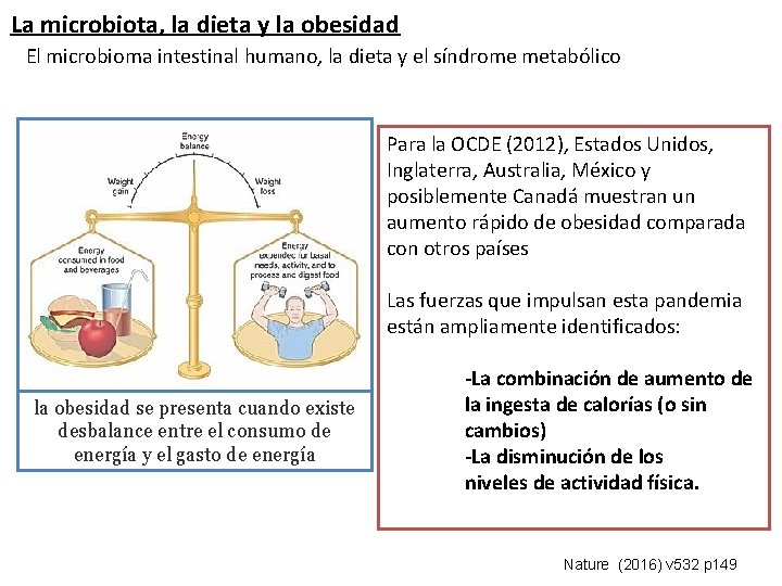 La microbiota, la dieta y la obesidad El microbioma intestinal humano, la dieta y