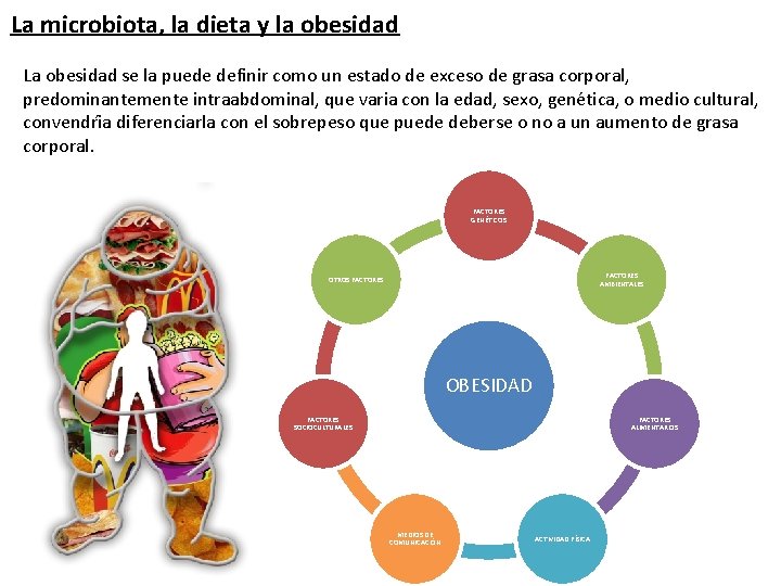 La microbiota, la dieta y la obesidad La obesidad se la puede definir como