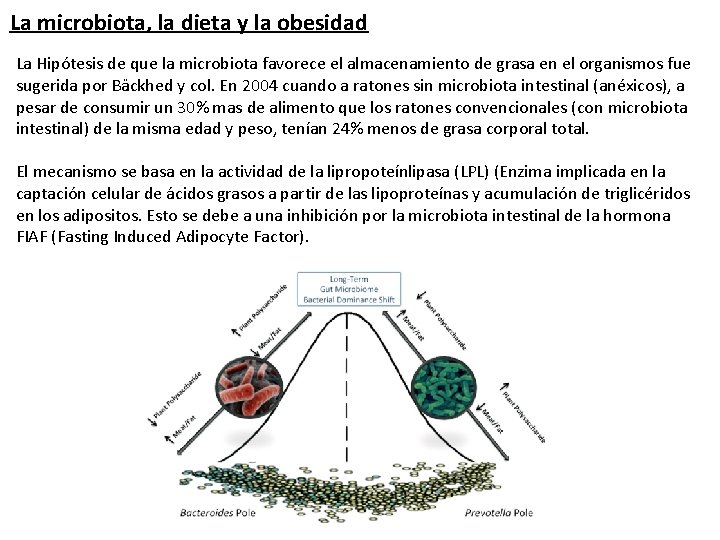 La microbiota, la dieta y la obesidad La Hipótesis de que la microbiota favorece