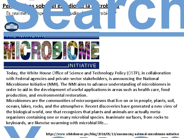 Search Perspectivas sobre el estudio de la microbiota Es realmente importante el estudio de