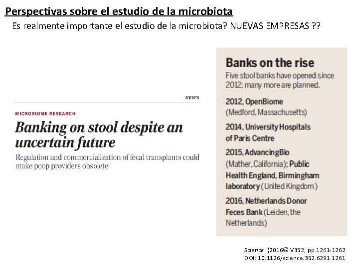 Perspectivas sobre el estudio de la microbiota Es realmente importante el estudio de la