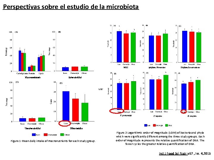 Perspectivas sobre el estudio de la microbiota Macronutrients Unsaturated fat MBI phylum Firmicutes F.