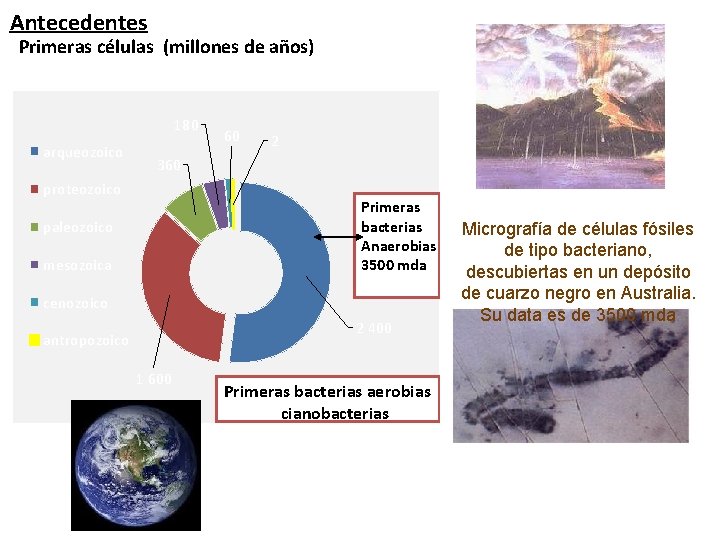 Antecedentes Primeras células (millones de años) 180 arqueozoico 60 2 360 proteozoico Primeras bacterias